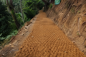 100% Eco Friendly Coconut Fiber Coir <b>Mat</b> <b>Roll</b> From Vietnam Brown Walkway Paving <b>Mat</b> Natural Coir Flooring 65kg Landscape Use - Product Image 2