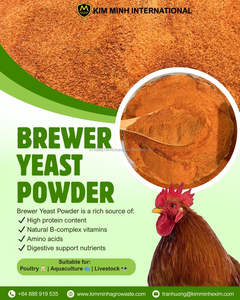 Levadura de Cerveza en Polvo Alta en Proteínas, Origen Vietnam, 12 Meses de Vida Útil, Aditivo para Alimentación Animal, Avícola y Acuícola - Product Image 4