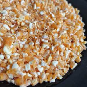 Calidad superior, suministro al por mayor, agricultura, maíz amarillo roto, grano a buen precio de la India - Product Image 1