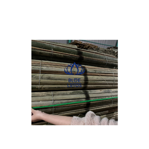 PALITOS DE BAMBÚ ECOLÓGICOS PARA MANUALIDADES, LOS MÁS VENDIDOS, SEGUROS Y LIMPIOS, IDEALES PARA TECER CESTAS Y TAPETES, PROVEEDOR DIRECTO - Product Image 1