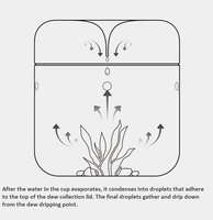 Dôme en verre borosilicate transparent fait main moderne pour plantes éco-responsables, terrarium miniature créatif pour bureau, collection de coupelles