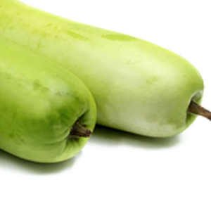 Nouvelle Gourde de Chine sélectionnée, légume frais de qualité supérieure, tendre, pour les acheteurs en gros, les marchés alimentaires, la vente au détail et la restauration - Product Image 3