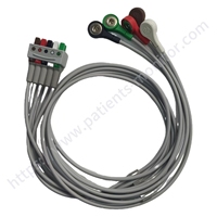 Ensemble de fils ECG/EKG pour adultes, 5 fils, connecteurs à pression AHA, 74 cm (29 pouces), REF 2106381-001