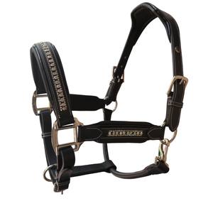 FAB International Premium cuir noir cheval licou pierres de cristal clair rembourré Design de luxe confortable Durable pour le spectacle - Product Image 1