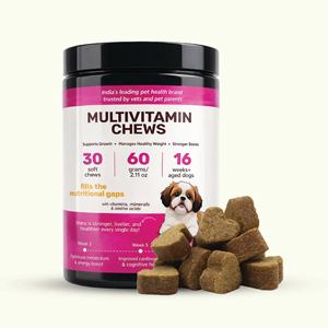 La multi-vitamine molle à mâcher pour chiens, approuvée par la FDA, soutient un pelage sain, des hanches et des articulations, suppléments naturels pour animaux de compagnie - Product Image 2