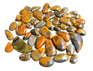 พลอยแจสเปอร์สีเหลืองแบบคาโบชอง ขายส่งแบบคละรูปทรงและขนาด หินบัมเบิลบีธรรมชาติ สำหรับทำเครื่องประดับ DIY - Product Image 1