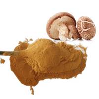 Poudre de champignons Shiitake en vrac, 100% naturelle, biologique, extrait de Lentinula Edodes séché, poudre fine pour complément alimentaire, smoothie, thé