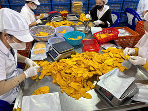 มะม่วงอบแห้ง ขนมผลไม้ธรรมชาติ รสหวาน เคี้ยวเพลิน รสชาติเขตร้อน บรรจุภัณฑ์สุญญากาศ แพ็คใหญ่ ผลิตจากเวียดนาม - Product Image 5