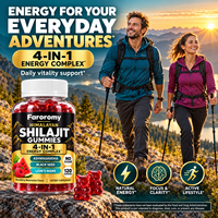 Gummies de Shilajit de l'Himalaya 4-en-1 Complexe Énergétique avec Ashwagandha et Crinière de Lion - Sans Sucre 120 unités Vente en Gros Marque Privée