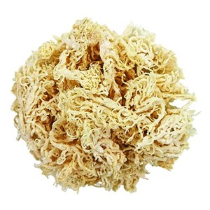 วัตถุดิบออร์แกนิก สาหร่ายทะเลแห้ง Eucheuma Cottonii สีทองม่วง สาหร่ายธรรมชาติ ซูเปอร์ฟู้ดวีแกน ขายส่ง - คุณเกรซ - Product Image 1