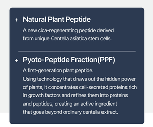 Masque en tissu coréen CICA Céramide Panthénol Collagène Ampoule – Hydratant, Apaisant, Réparateur de Barrière Cutanée – OEM K-Beauty - Product Image 4