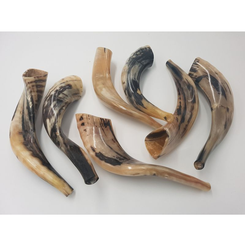 ธรรมชาติ