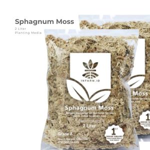 มอสส์สฟากนัมแห้งคุณภาพสูง 2 ลิตร วัสดุปลูกออร์แกนิก น้ำหนักเบา ดูดซับน้ำได้ดี สำหรับพืช - Product Image 1