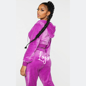 Velvet Tracksuit Wholesale Custom Winter Velour Sweat <b>Suits</b> Sweatpants And Hoodie Set Two Piece Women Velvet <b>Jogging</b> Track <b>Suit</b> - Product Image 4