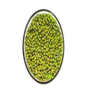 Venta al por mayor de frijoles mung verdes orgánicos de alta calidad, grado uno, frijoles Vigna para alimentos, envasado a granel, precio de fábrica directo - Product Image 1