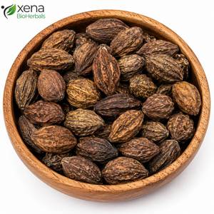 Fournisseur d'ingrédients botaniques, fruits de Terminalia Chebula, matière première naturelle, vente en gros - Product Image 2