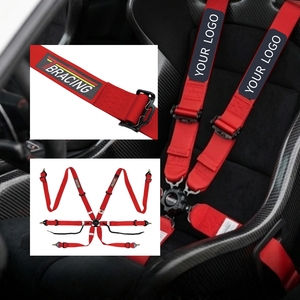 OEM Factory Wholesale TBRACING Sport Plus FIA Approved Motorsport Harness Seat Belt OEM ODM Aluminum Cam Lock With Hand Loops - Product Image 4