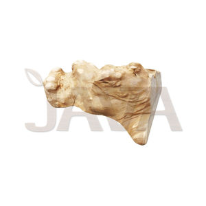 ท่อนไม้สำหรับสัตว์เลื้อยคลานและสัตว์ครึ่งบกครึ่งน้ำ ยี่ห้อ Java เป็นมิตรกับสิ่งแวดล้อม ทนทาน เหมาะสำหรับปีนป่ายและอาบแดด - Product Image 1