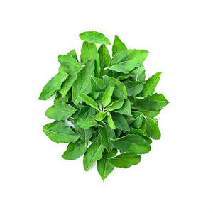 Nouvelle Saison de Feuilles de Basilic Indien pour les Entreprises d'Emballage Alimentaire, Produits Culinaires Aromatiques pour la Distribution en Gros - Product Image 4