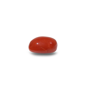 Natural Loose Gemstone-10.65 Carat Certified Red Coral High Quality Wholesale - Product Image 3