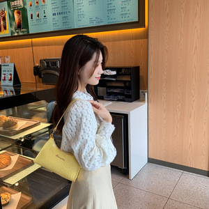 Dernières tendances en matière de sacs à main et sacs à bandoulière pour femmes en cuir PU imitation crocodile, portables et décontractés - Product Image 3