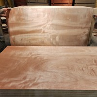 Norme européenne Okoumé Commercial Contreplaqué 12mm/15mm/18mm Okoumé Contreplaqué de haute qualité Vente en gros du fabricant au Vietnam