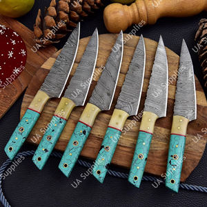 ชุดมีดสเต็กทำมือเกรดอุตสาหกรรม DIY เหล็กดามัสกัสสำหรับมืออาชีพ ชุดมีดสำหรับรับประทานอาหารกลางแจ้ง บาร์บีคิว มีดปอกผลไม้ OEM UA - Product Image 2