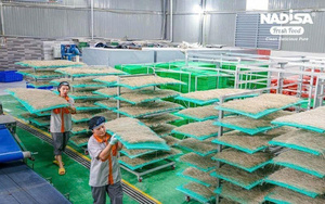 Fideos Instantáneos Saludables al por Mayor – Servicio OEM/ODM, Sabor y Empaque Personalizados, Fideos de Arroz Pho - Product Image 4