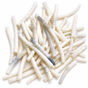 Natural Smooth White Dentalium <b>Shell</b> Beads Polished Tubular Craft Jewelry Making Supplies Bulk Wholesale - Product Image 1