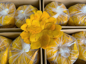 Premium Soft <b>Dried</b> <b>Mango</b> for Yogurt Granola & Smoothie Bowl Toppings - Product Image 5
