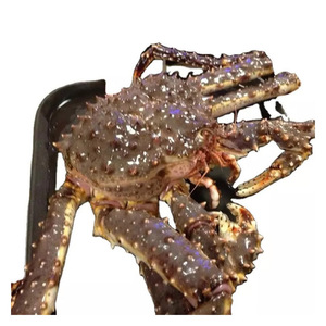 LOW PRICE PREMIUM FROZEN KING <b>CRAB</b> 1400GM TO 1600GM - Product Image 4