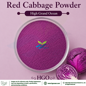 Poudre de chou violet (qualité alimentaire) HGO, approvisionnement direct usine, séchée par atomisation ou lyophilisée, poudre de chou rouge - Product Image 1