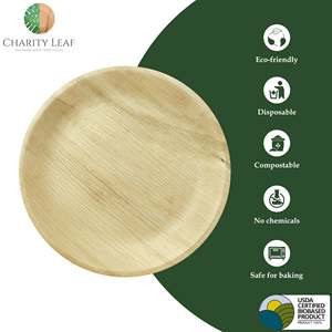 Piatto Rotondo Usa e Getta da 10 Pollici Realizzato in Foglia di Palma Naturale - Product Image 6