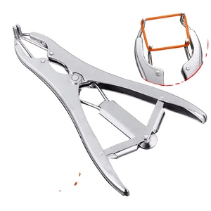 Pinzas de Castración Veterinaria de Alta Resistencia Modelo MYM-7013 para Ganado (Cabras) Uso en Granjas Marca Personalizada Pakistán - Product Image 1