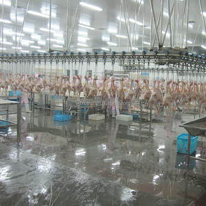 Lignes d'abattage de volailles à haute efficacité, <span class=keywords><strong>prix</strong></span> de gros, produits de haute qualité pour l'utilisation dans les abattoirs kirghizes de 2000 oiseaux par heure - Product Image 6