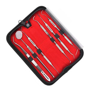 Kit d'hygiène dentaire professionnel pour animaux de compagnie, avec poignée ergonomique, instruments chirurgicaux dentaires complets en acier inoxydable - Product Image 4
