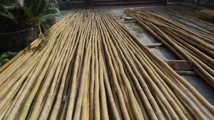 เสาไม้ไผ่ขายส่งสำหรับค้ำต้นไม้ ตกแต่งสวน และโครงสร้างกลางแจ้ง - Product Image 5