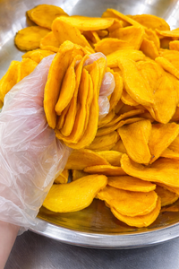 Premium Vietnamese Soft <b>Dried</b> <b>Mango</b> - 100% Natural, No Preservatives, Sweet & Chewy, HACCP & ISO Certified/ Ms. Alina - Product Image 2