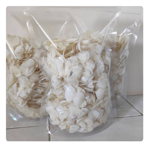 Nouveauté 2026 Écailles de poisson de qualité supérieure Fournisseur Vietnamien - Product Image 4