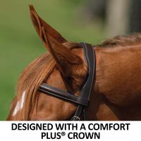 Bridon d'endurance en cuir durable conçu pour les cavaliers professionnels, offrant un confort longue durée et un contrôle supérieur du cheval