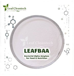 Poudre d'amylase alpha bactérienne Enzyme alimentaire pure | Enzyme de haute qualité pour la digestion de l'amidon et les applications nutritionnelles - Product Image 1