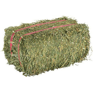 Heno de Alfalfa de Primera Calidad para Caballos y Ganado, Origen Reino Unido, 2 Años de Vida Útil - Product Image 3