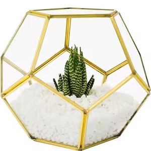 Unique Indoor Garden Metal Terrarium Glass Plant Holder Decorative Geometric <b>Display</b> <b>Case</b> Home Accent - Product Image 2
