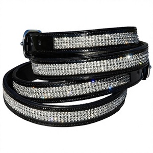 Ceintures en cuir verni strass Produit d'approvisionnement en soins de santé - Product Image 1