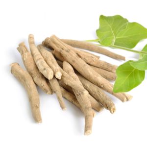 Bulk Ashwagandha Root <b>Extract</b> Pure Herbal Adaptogen (Withania Somnifera) <b>Extract</b> for Nutraceutical & Supplement Manufacturing - Product Image 4