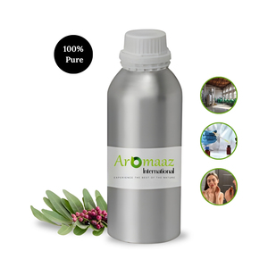 Huile Essentielle de Mastic Bio Aromaaz International 100% Pure Distillée à la Vapeur, Revitalisant Cutané pour Tous Types de Peau, Vente en Gros en Vrac - Product Image 5