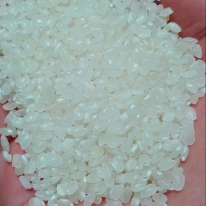ข้าวญี่ปุ่นออร์แกนิกเมล็ดสั้น 5% ข้าวหัก เวียดนาม อบแห้ง สำหรับทำซูชิ ขายส่งจำนวนมาก - Product Image 1