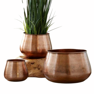 <b>Brass</b> Flower <b>Pot</b> With Green <b>Plant</b> Indoor Decor Minimalist Style Desktop Planter Chrome Finish Handmade Garden Planter - Product Image 2