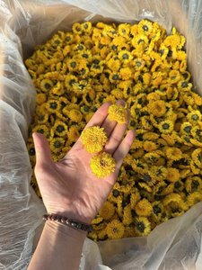 ชาดอกเบญจมาศธรรมชาติจากเวียดนาม ชาดอกไม้แห้งทั้งดอก กลีบดอกไม้แห้งสำหรับเครื่องดื่ม บรรจุภัณฑ์ 100 กรัม ดอกเบญจมาศแห้งแบบเป็นช่อ - Product Image 5