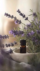 Vietnam Herbal Butterfly Pea <b>Tea</b> with Lotus Seeds for Vibrant Drinks, Desserts and Relaxing <b>Tea</b> Moments - Product Image 2